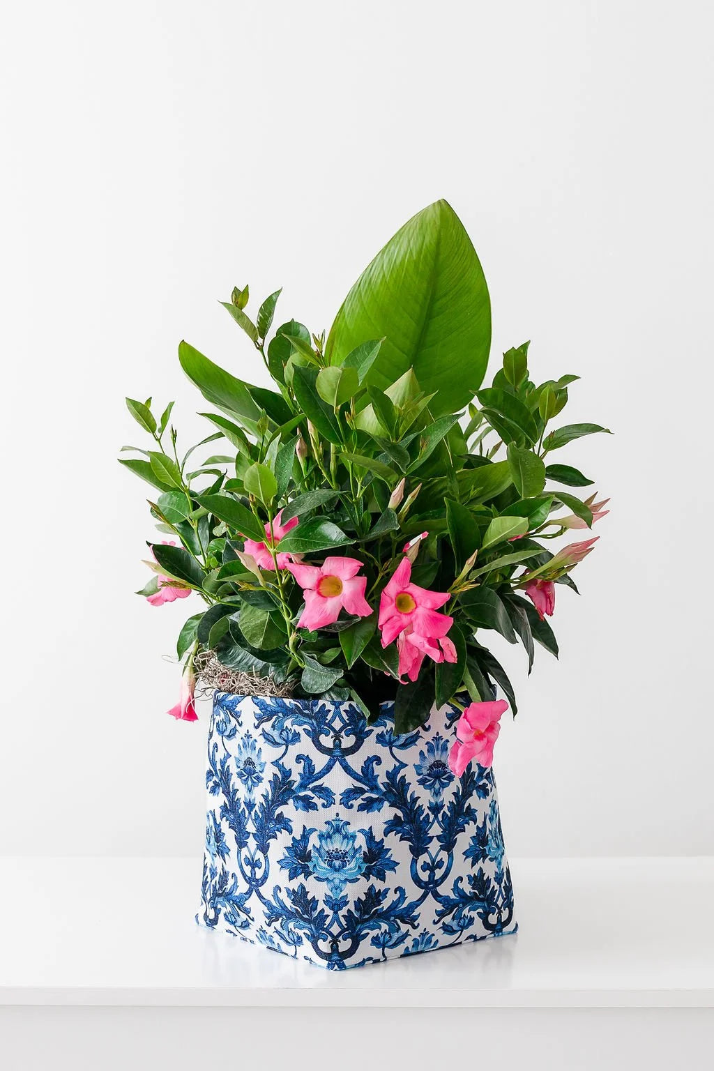 So.CachePot - Pot Covers