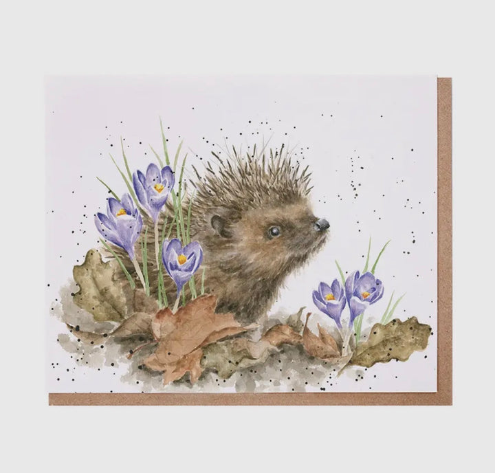 Greeting Cards - 5x7