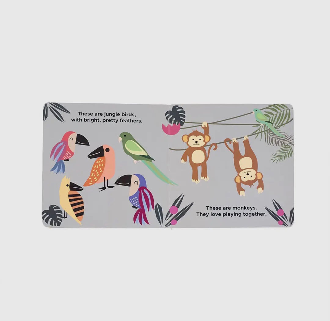 Zoo Friends Book