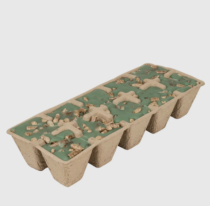 Northern Lights Fragranced Firestarters