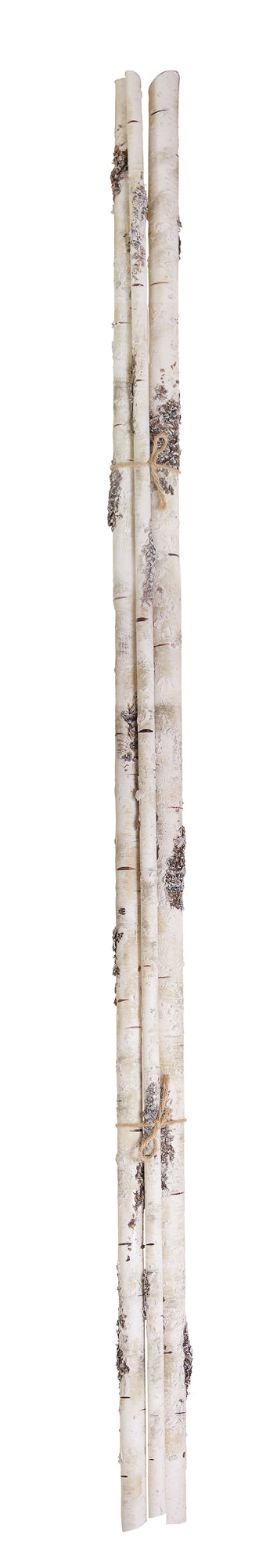 Woodland Birch Branch – 58.5″
