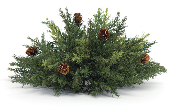 Arborvitae & Pinecone Half Orb – 13″