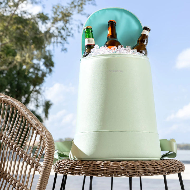 Chill Carry Insulated Cooler Tote