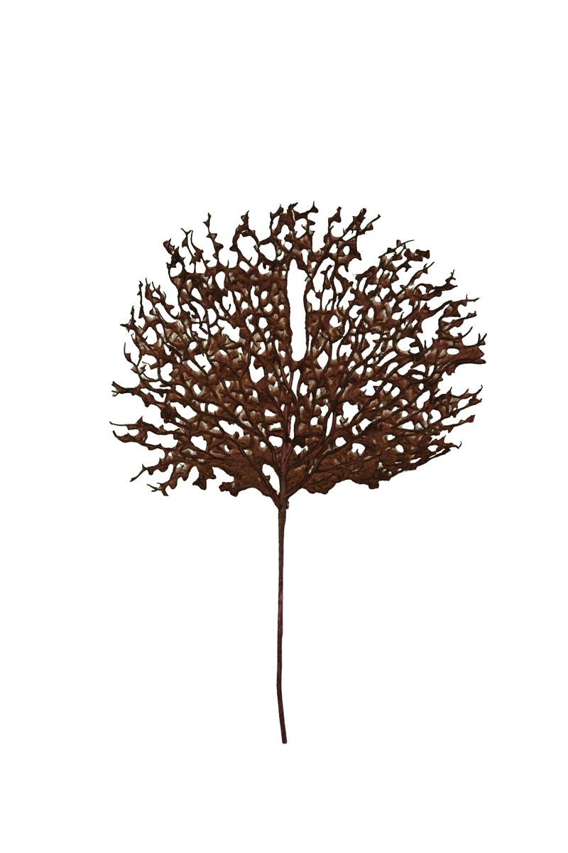 Bronze Coral Fan Spray