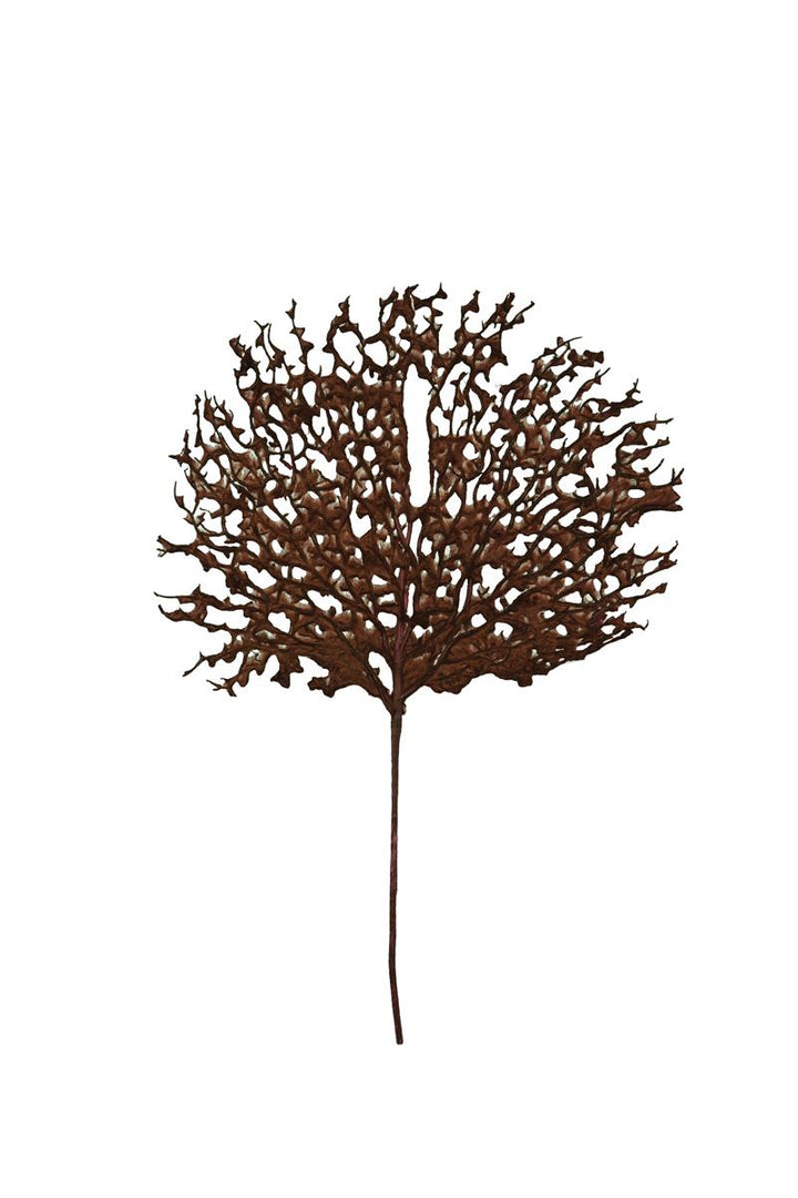 Bronze Coral Fan Spray