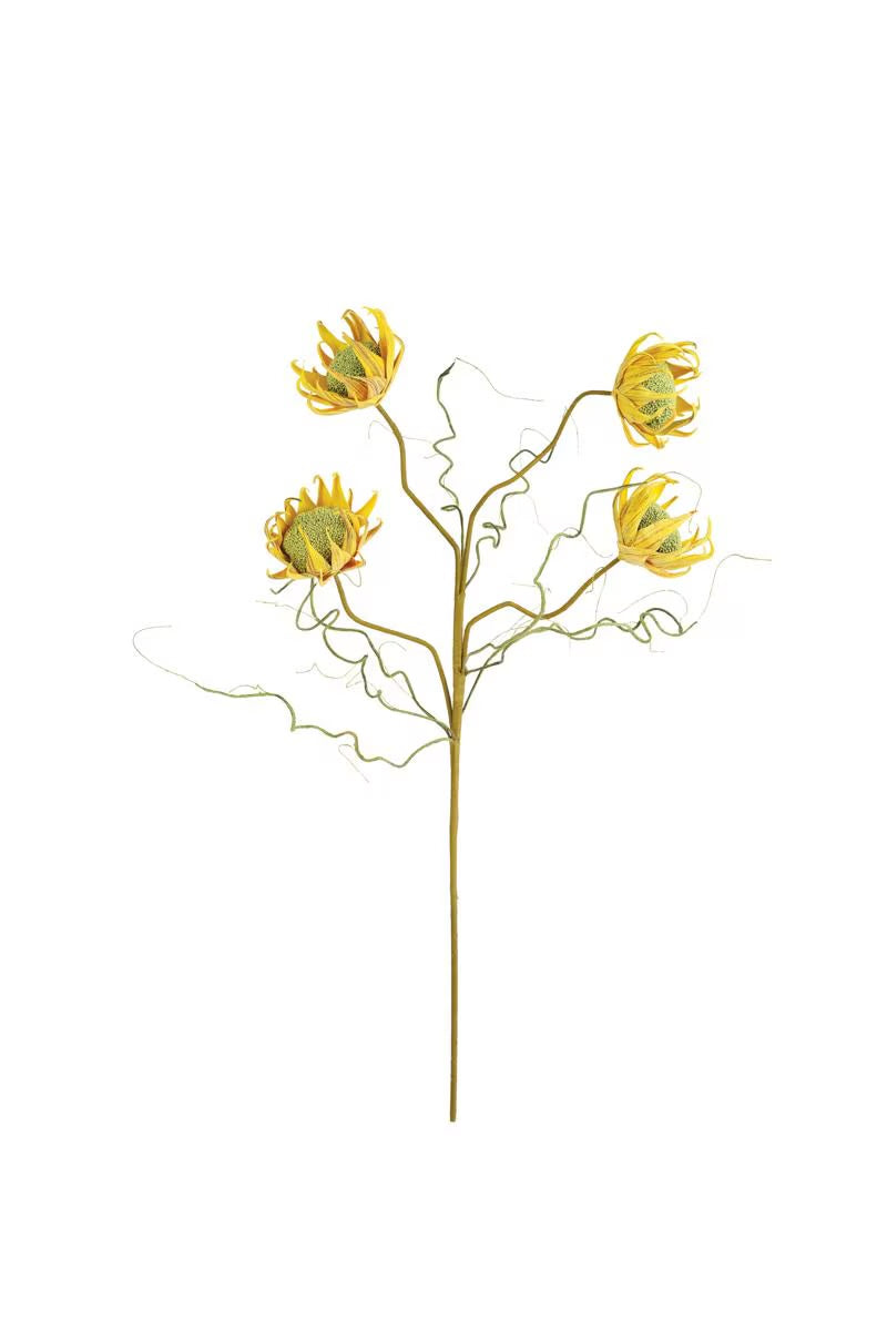 Golden Sunflower Pod Stem