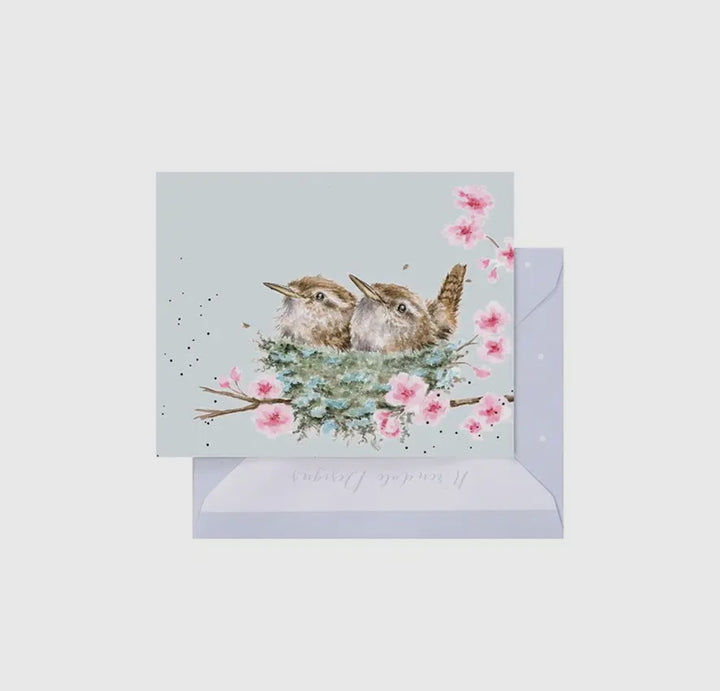 Mini Gift Enclosure Cards