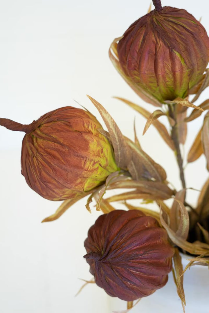 Autumn Lotus Pod Stem