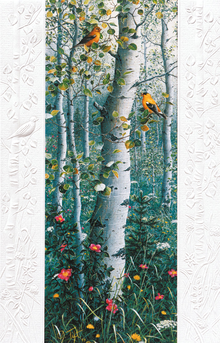 Pumpernickel Press Greeting Cards