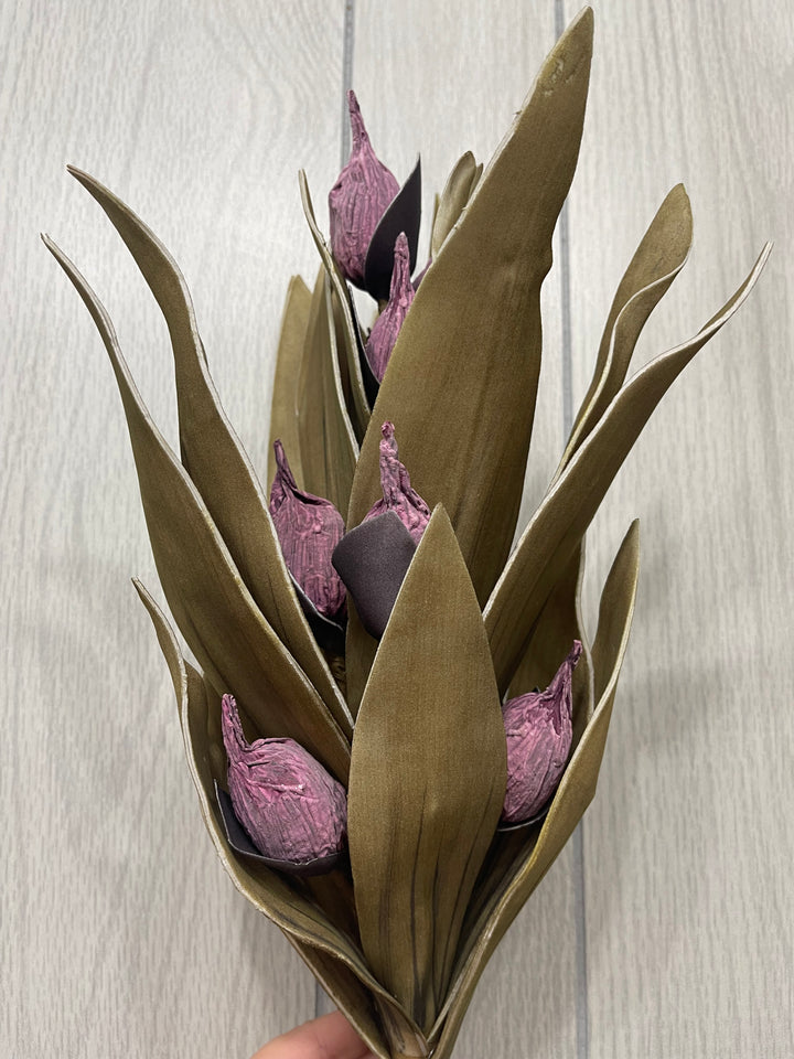 Purple Pod Leaf Stem