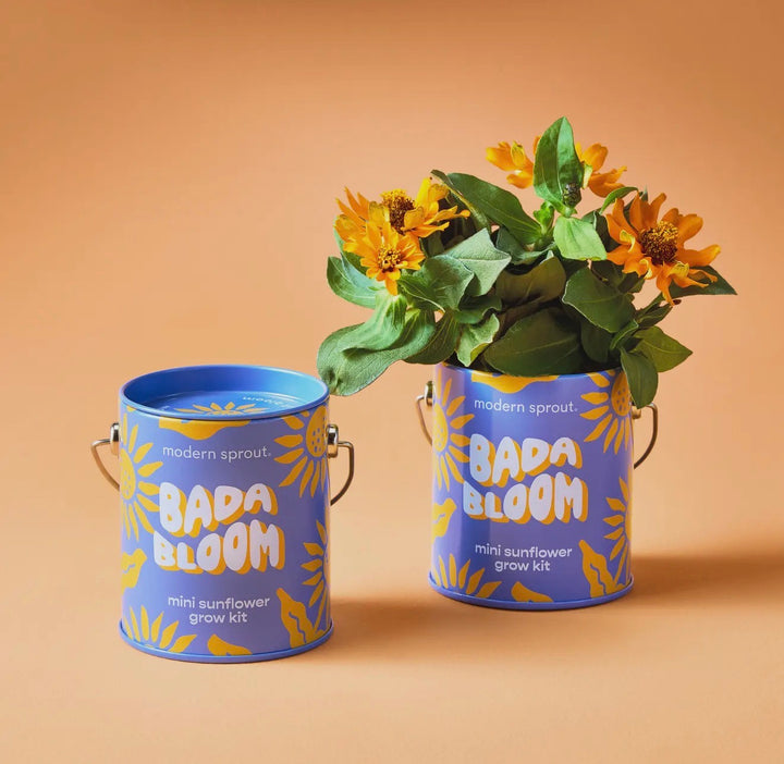 Modern Sprout Grow Kits