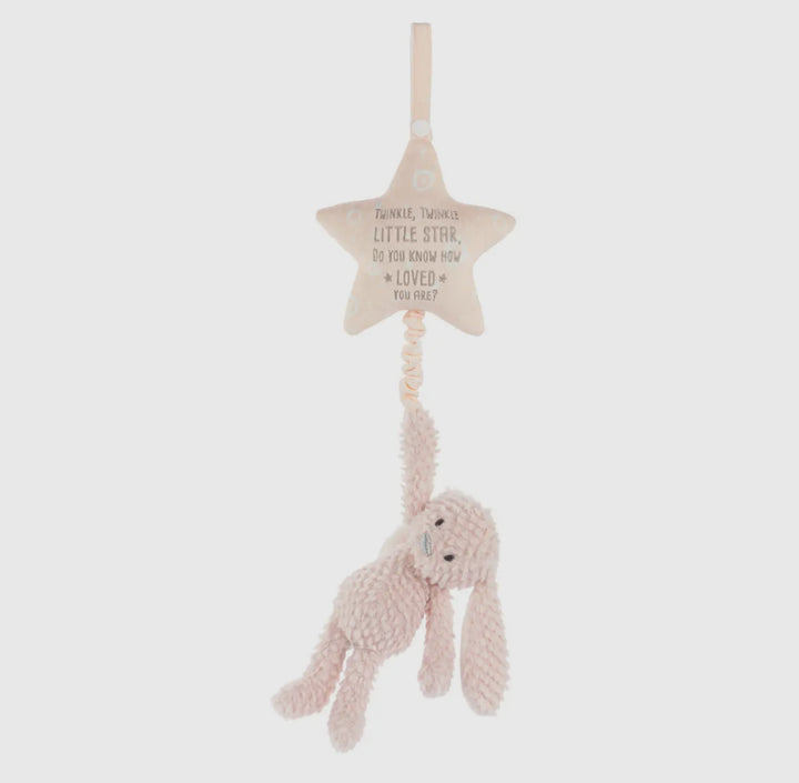 Musical Pull Toy - Bunny