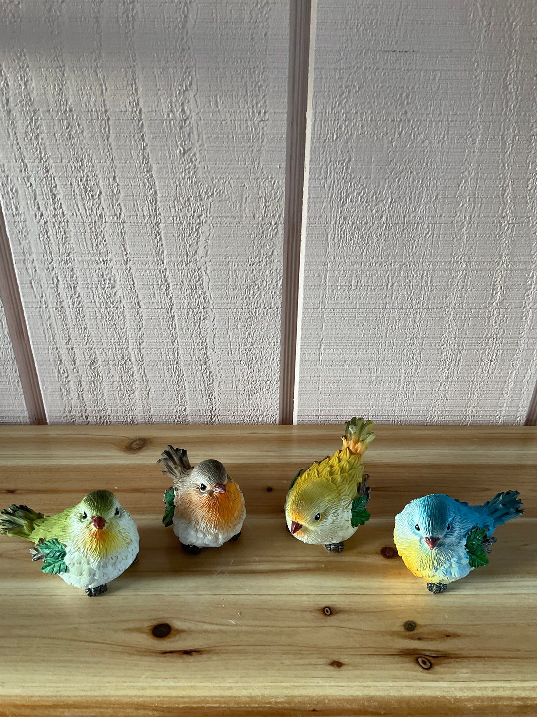 Colorful Feathered Birds
