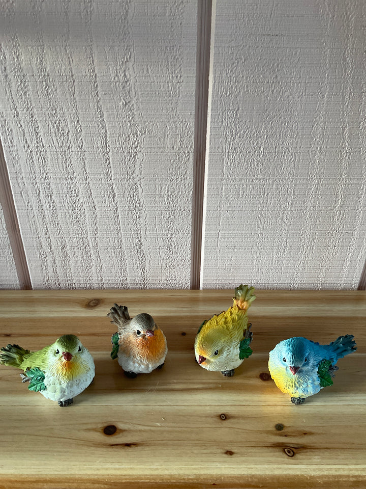 Colorful Feathered Birds