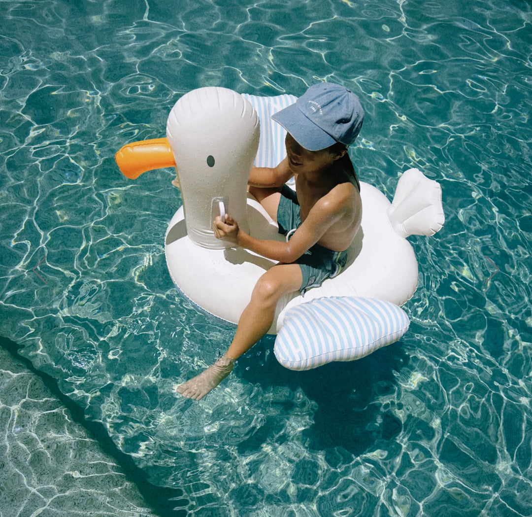 Ride On Seagull Float