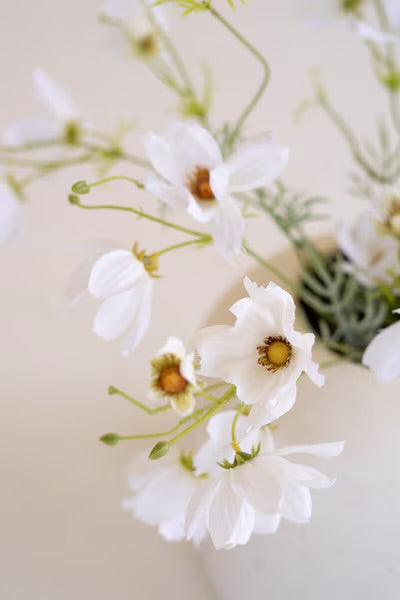 White Cosmos Stem – 24”