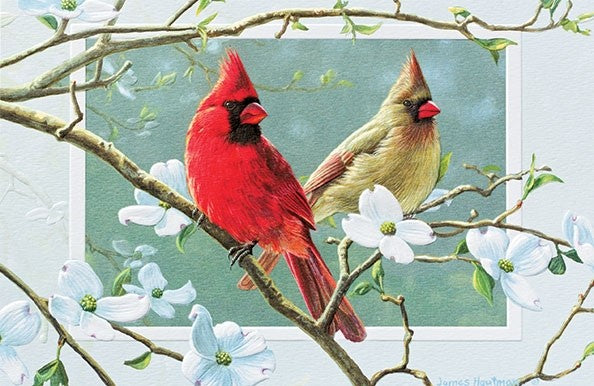 Pumpernickel Press Greeting Cards