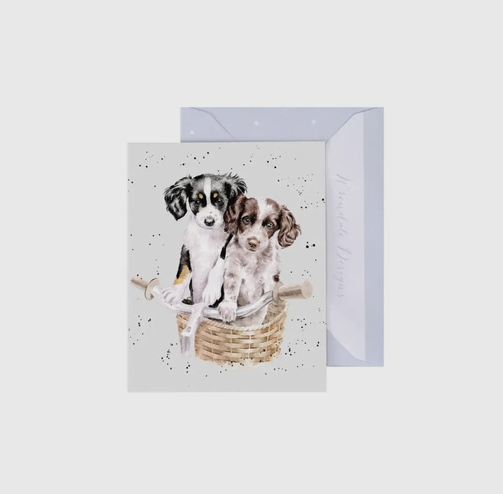 Mini Gift Enclosure Cards
