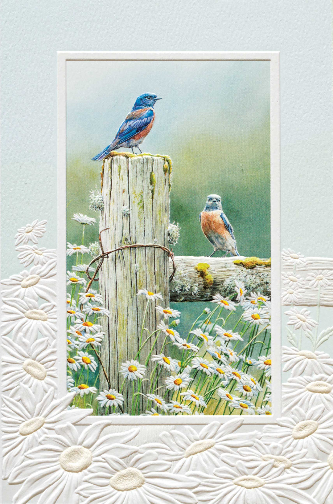 Pumpernickel Press Greeting Cards