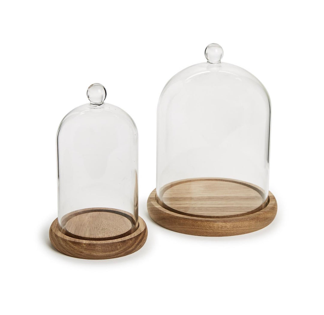 Glass Cloche with Wood Base