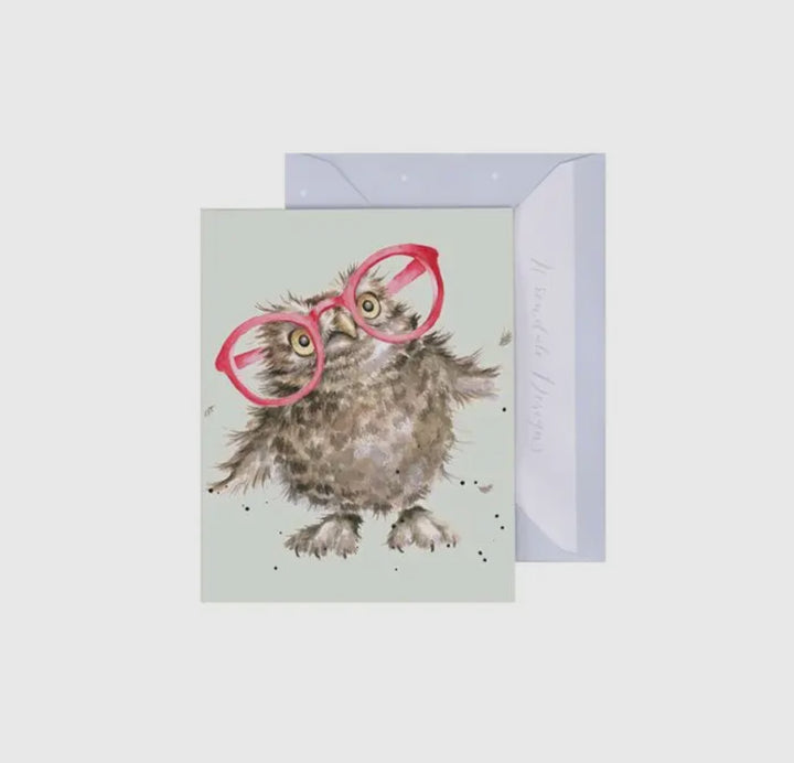 Mini Gift Enclosure Cards