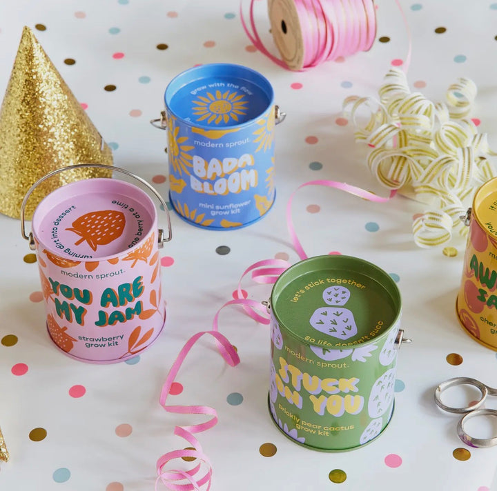 Modern Sprout Grow Kits