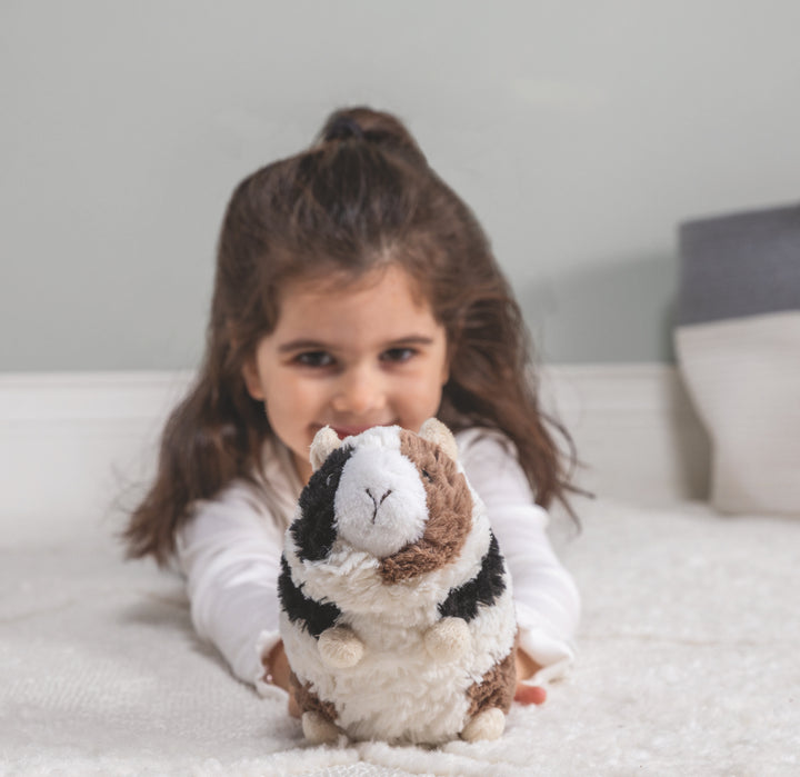 Guinea Pig Stuffy