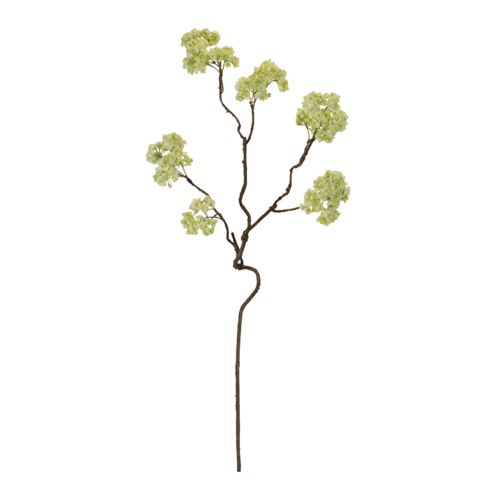 Soft Green Hydrangea Twisted Stem