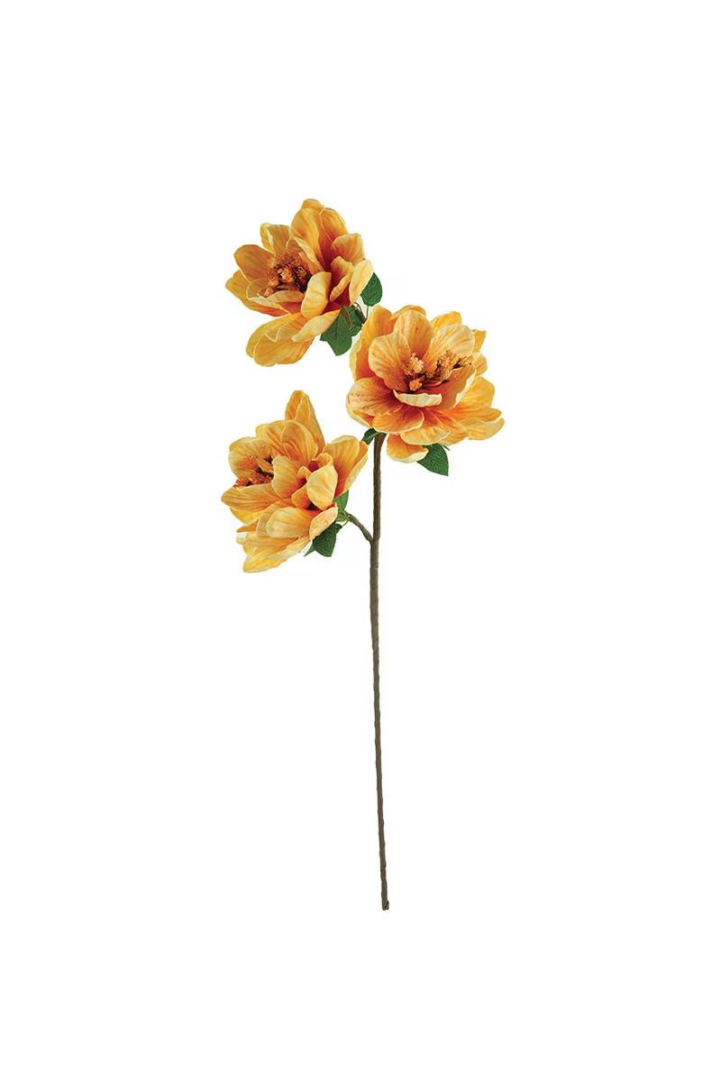 Sunset Magnolia Stem