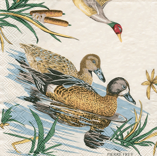 Caspari Waterfowl Cocktail Napkins