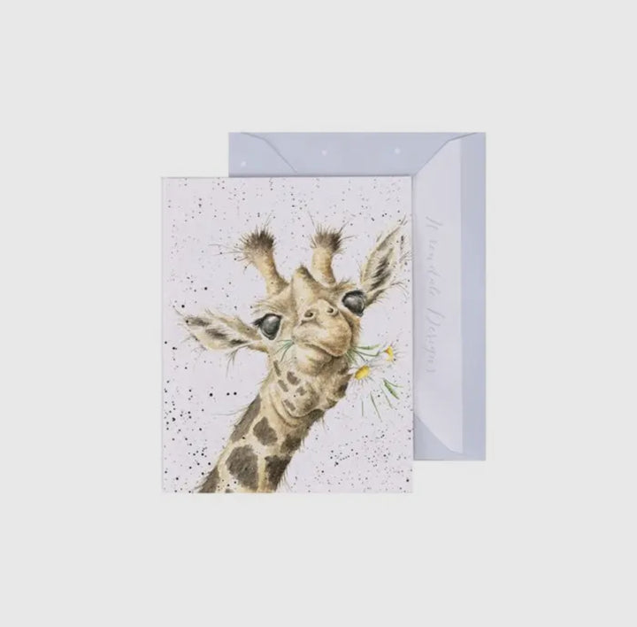Mini Gift Enclosure Cards