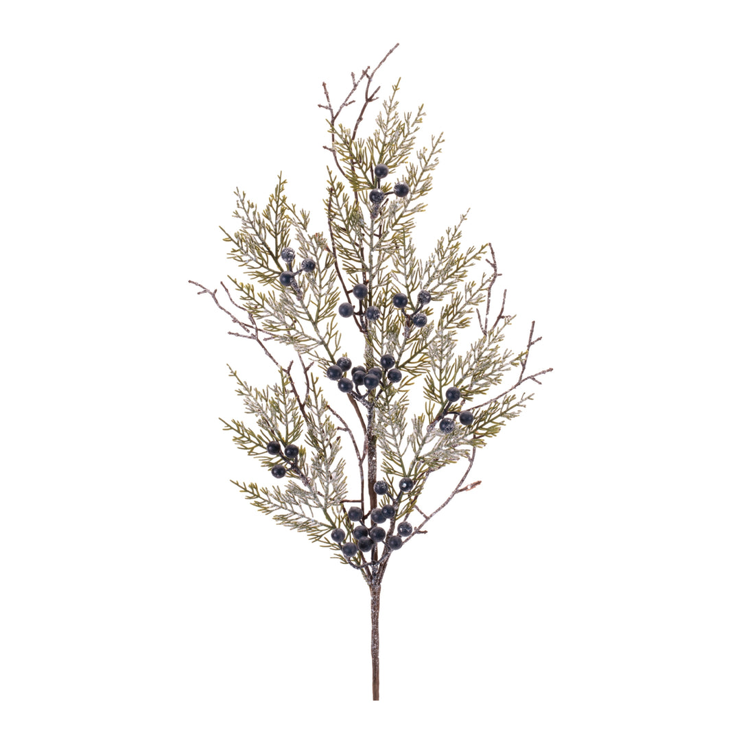 Frosted Juniper Berry Spray