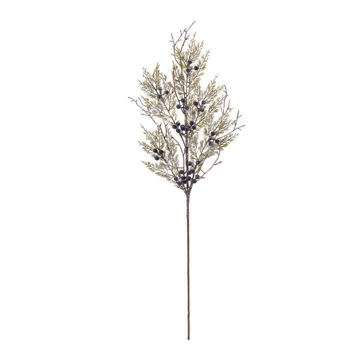 Frosted Juniper Berry Spray