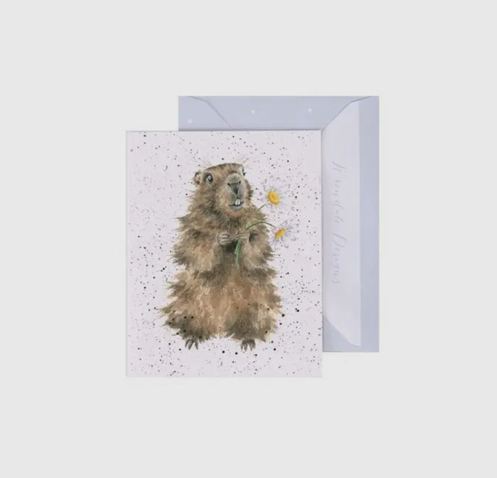 Mini Gift Enclosure Cards