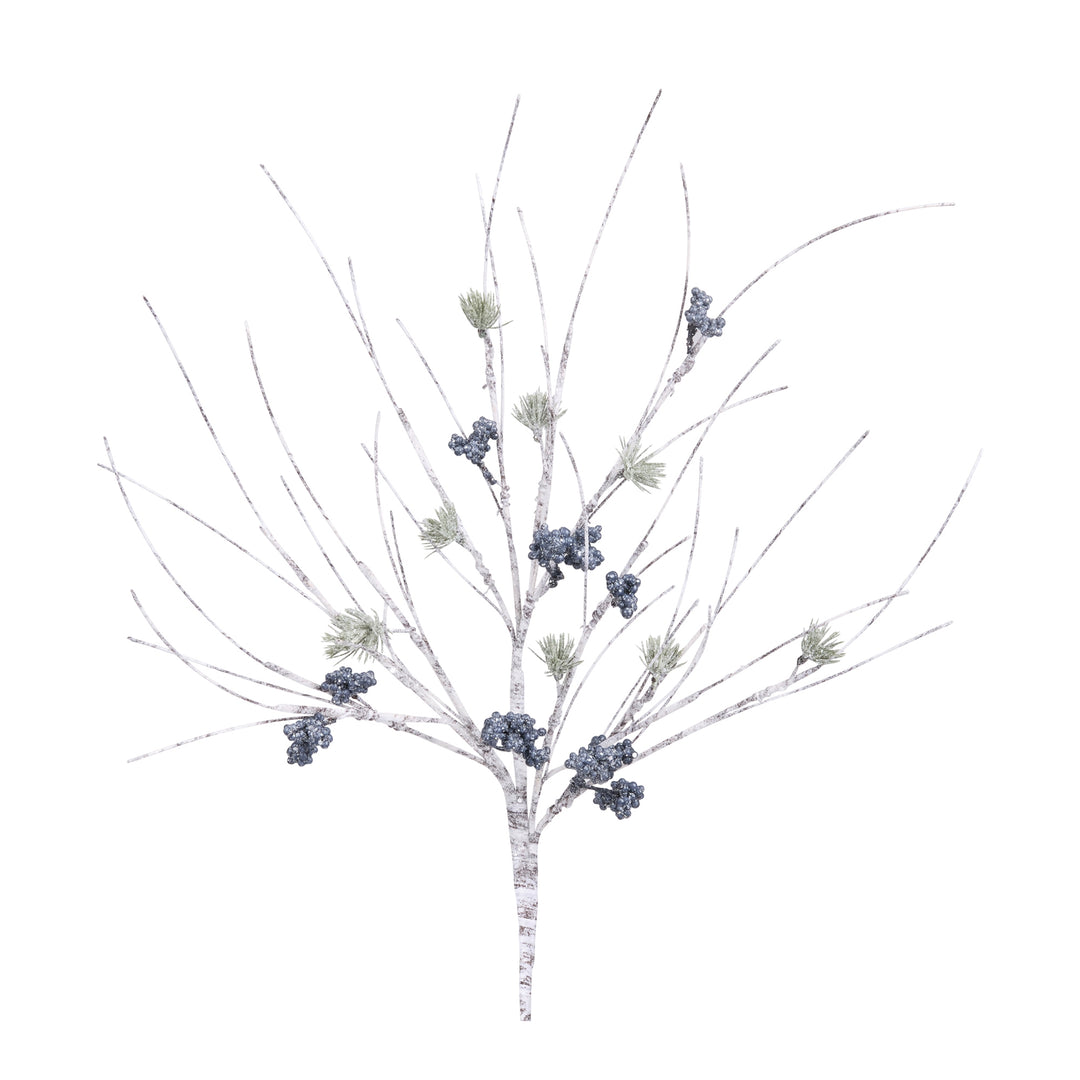 Winter Birch & Pine Branch