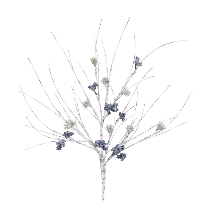 Winter Birch & Pine Branch