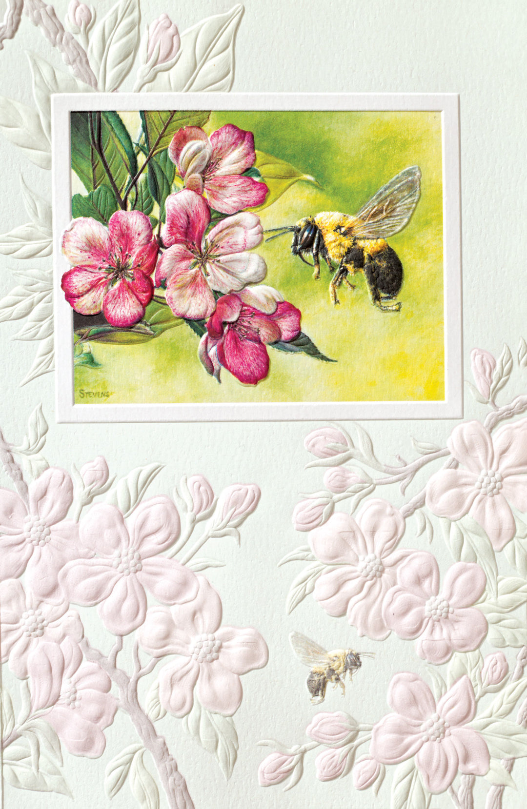 Pumpernickel Press Greeting Cards