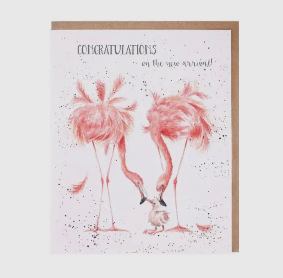 Greeting Cards - 5x7