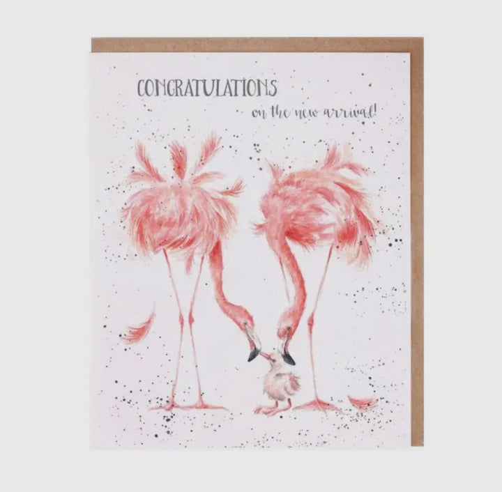 Greeting Cards - 5x7