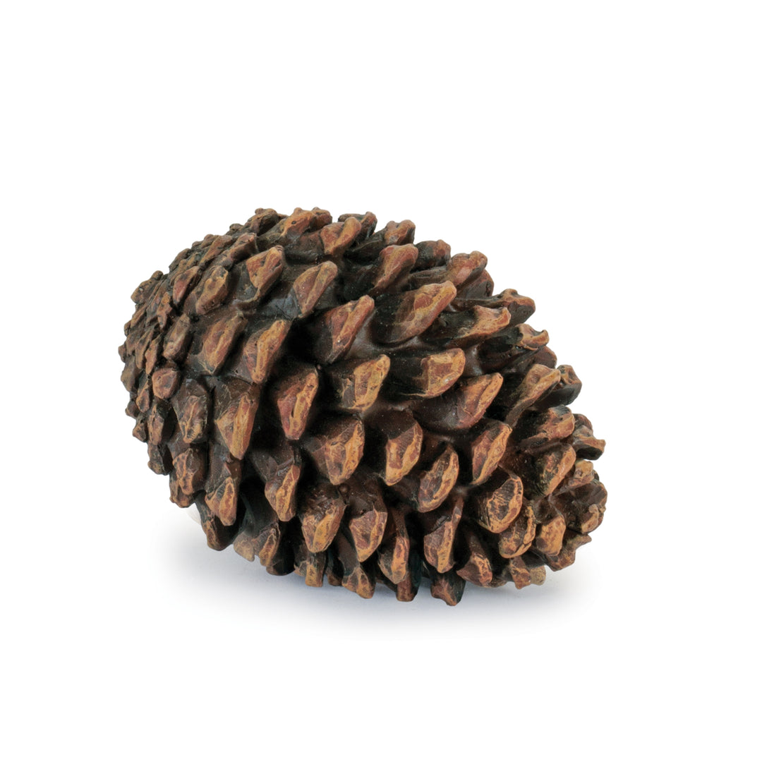 Woodland Charm Decorative Pine Cones