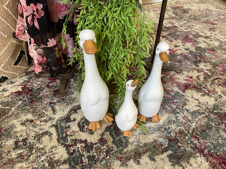 Duck Family