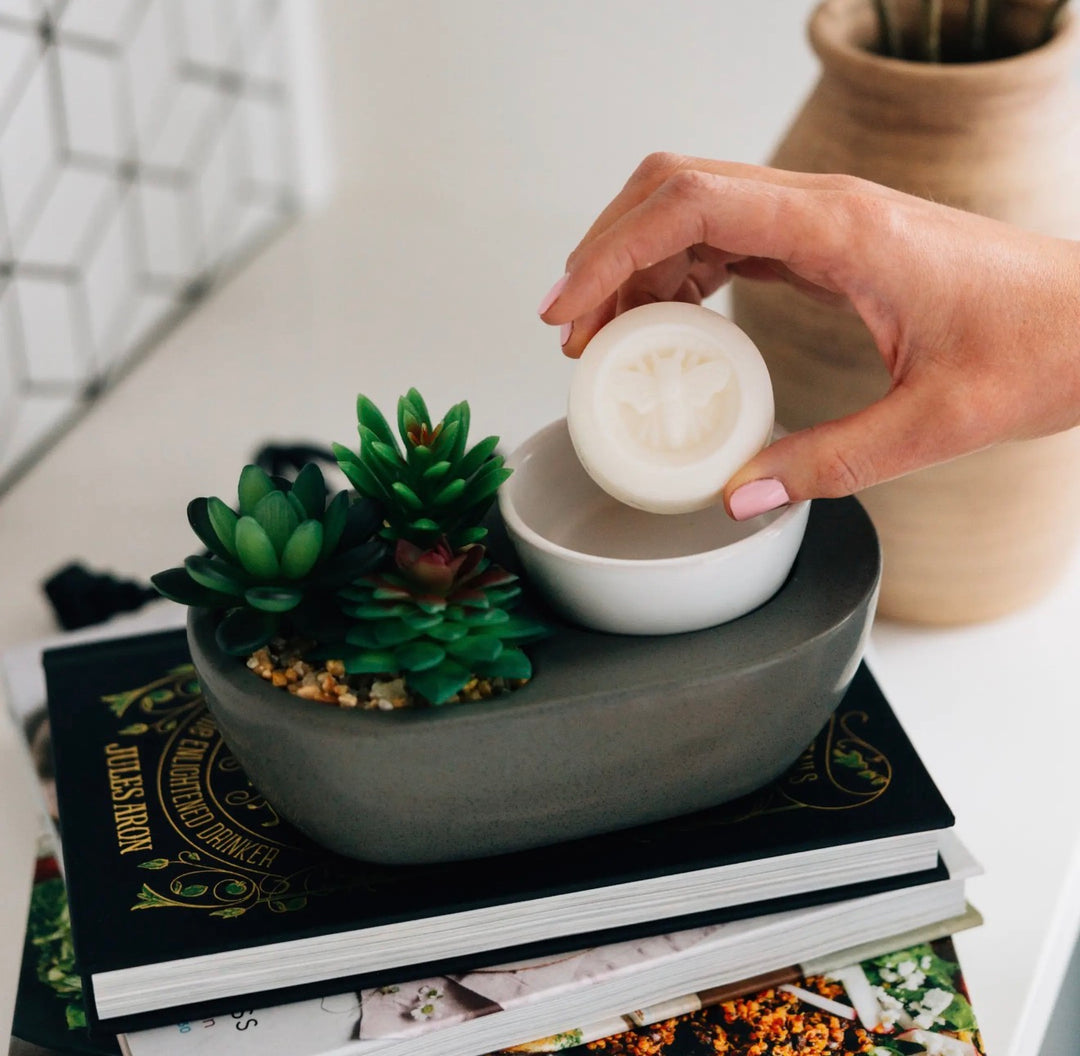 Fontana Wax Melt Collection