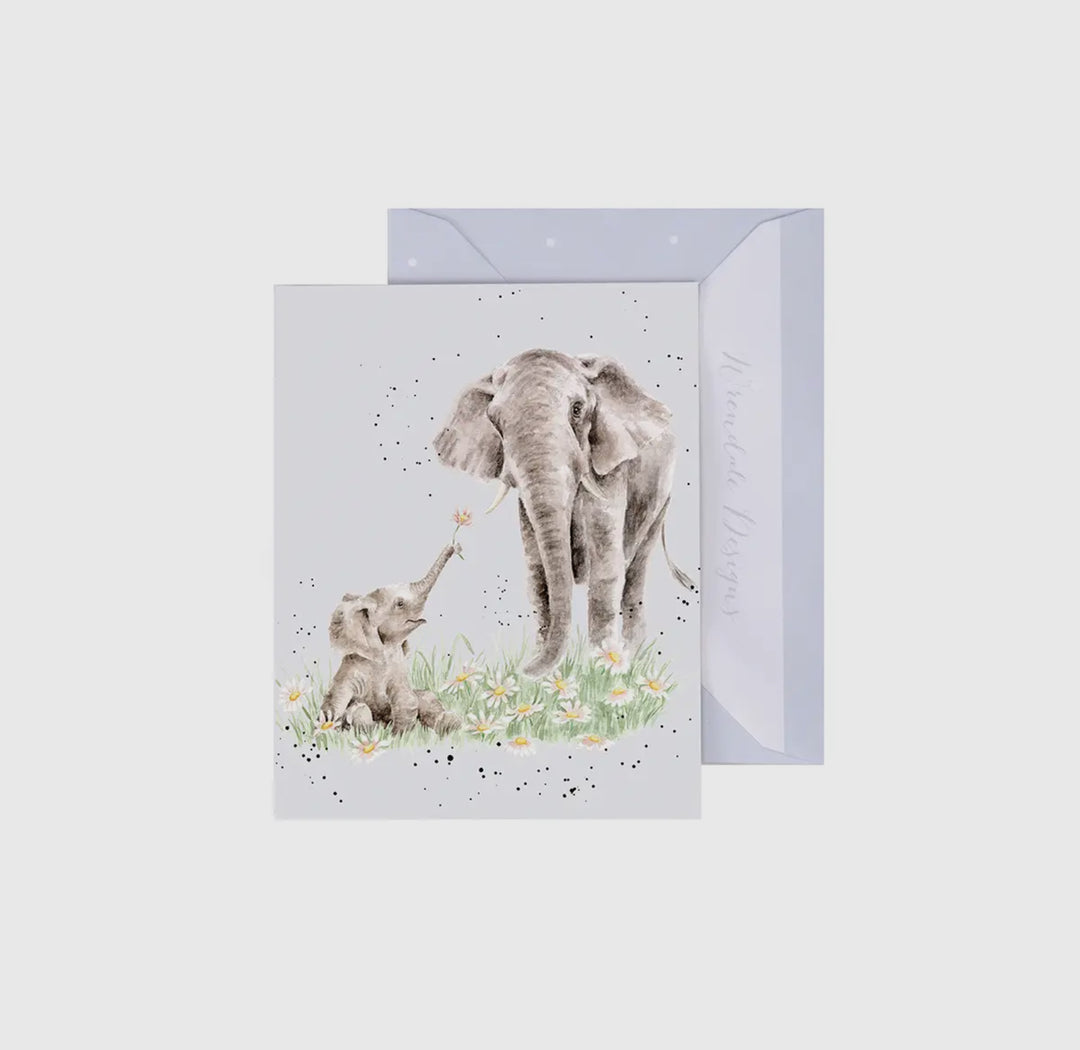 Mini Gift Enclosure Cards