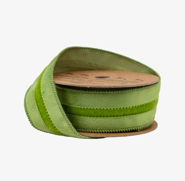 Fresh Meadow Velvet Trim Wired Ribbon
