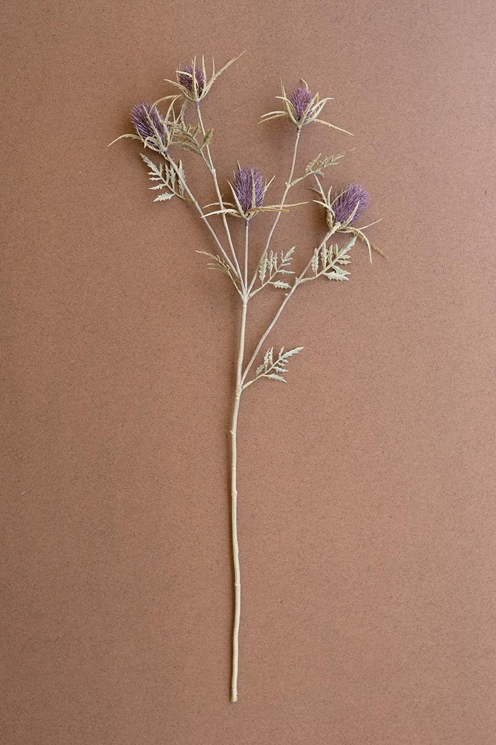 Thistle Stem