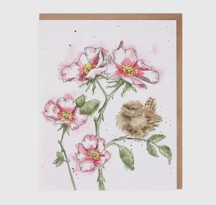 Greeting Cards - 5x7