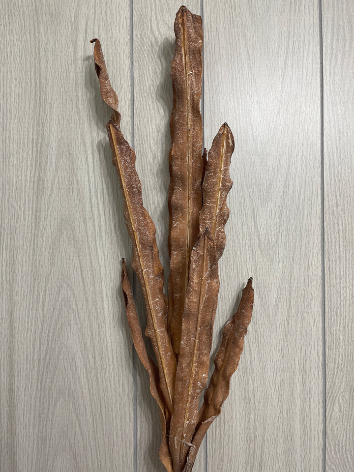 Dried Copper Magnolia Leaf Stem