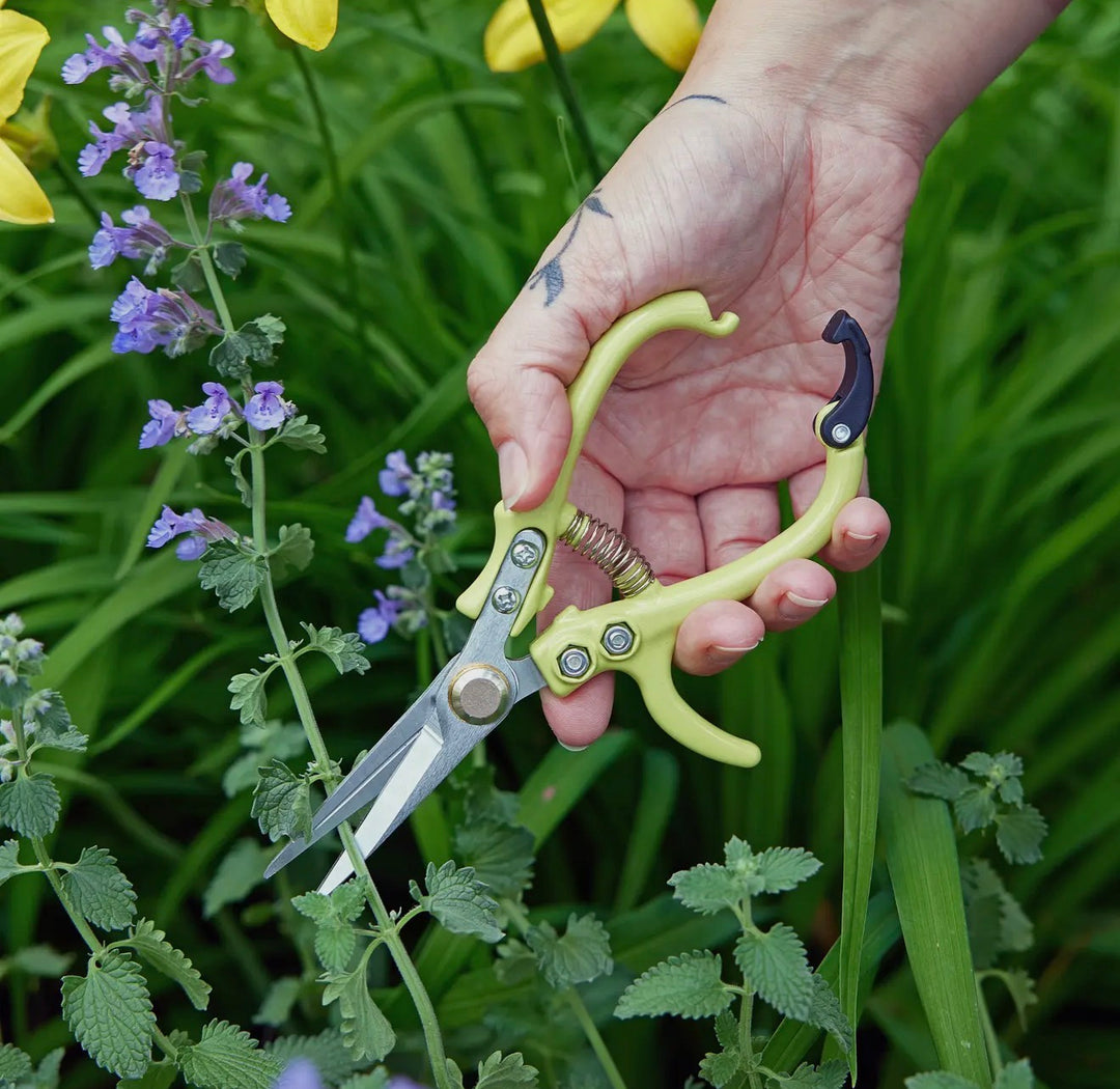 Sage Garden Snips