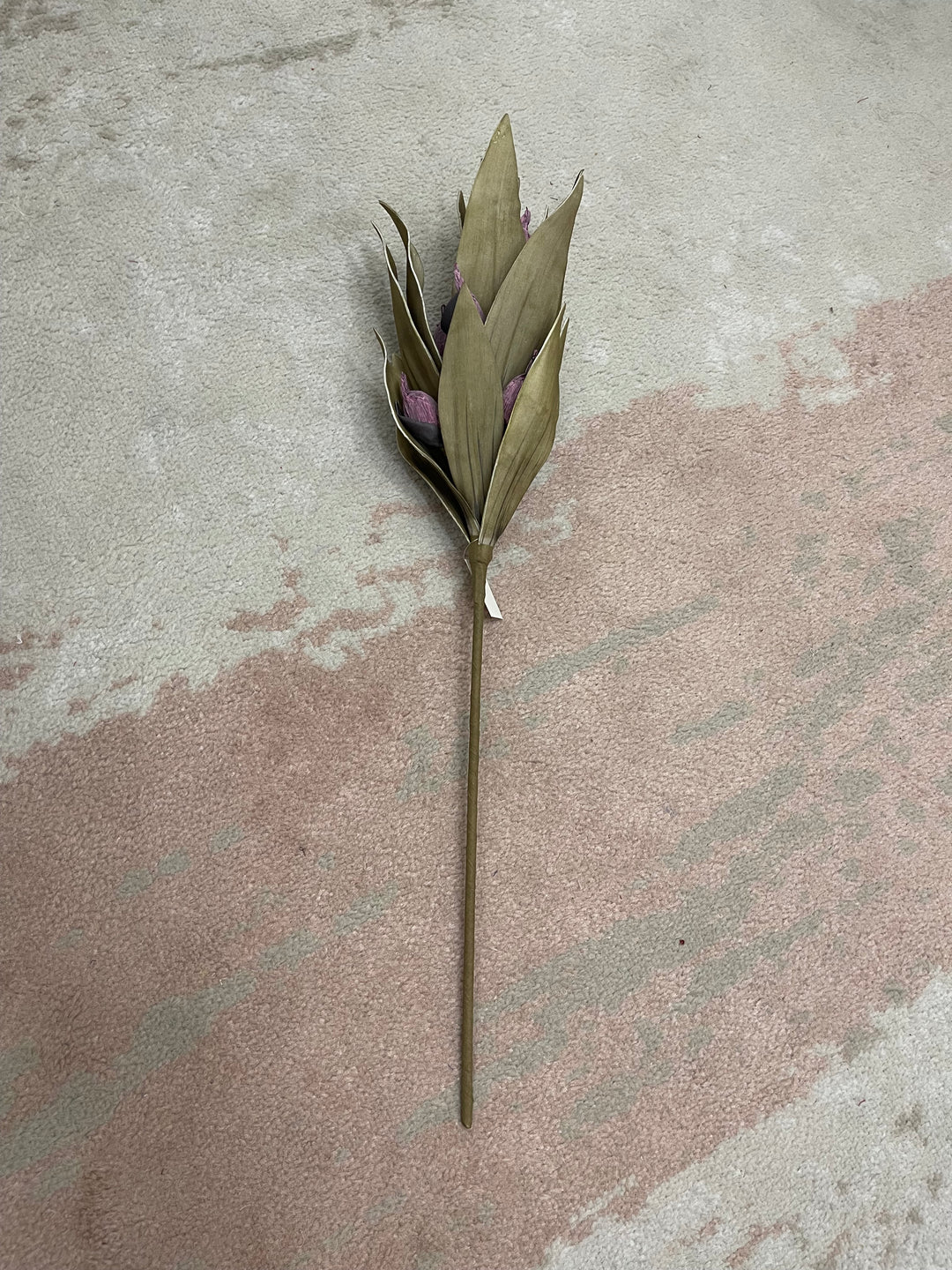 Purple Pod Leaf Stem