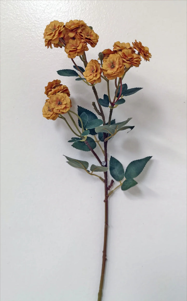 Garden Rose Stems